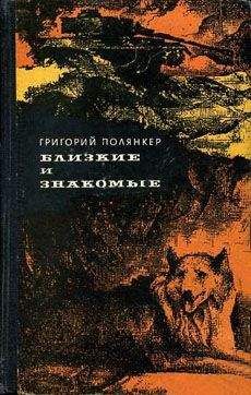 Григорий Полянкер - Городской сумасшедший