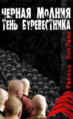Равиль Бикбаев - Черная молния. Тень буревестника.