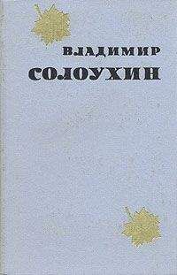 Владимир Солоухин - «Двадцать пять на двадцать пять»
