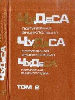 Владимир Мезенцев - Чудеса: Популярная энциклопедия. Том 2