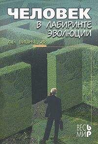 Леонид Вишняцкий - Человек в лабиринте эволюции