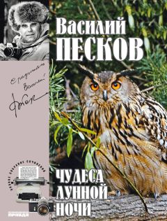 Василий Песков - Полное собрание сочинений. Том 15. Чудеса лунной ночи