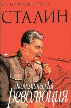 Д. Верхотуров - Сталин Экономическая революция