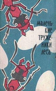 Павел Мариковский - Маленькие труженики леса