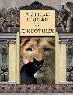 Виктория Часникова - Легенды и мифы о животных