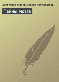 Александр Морок - Тайны мозга