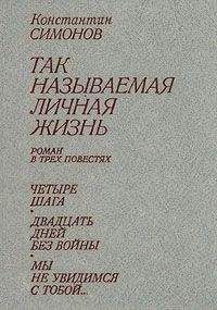 Константин Симонов - Двадцать дней без войны