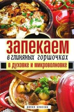 Дарья Нестерова - Запекаем в глиняных горшочках, в духовке и микроволновке