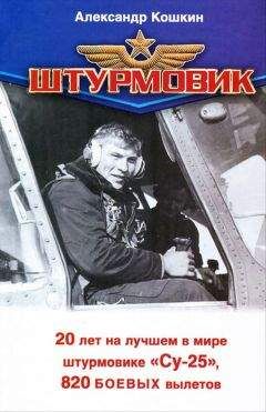 Александр Кошкин - Штурмовик