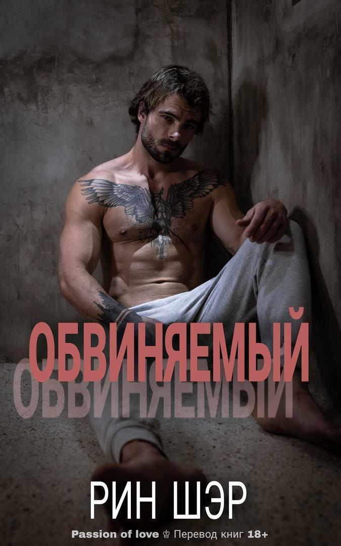 Обвиняемый - Рин Шер