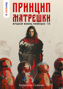 Принцип матрешки (СИ) - Сухинин Владимир Александрович Владимир Черный-Седой