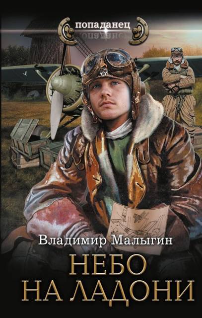 Небо на ладони - Владимир Владиславович Малыгин