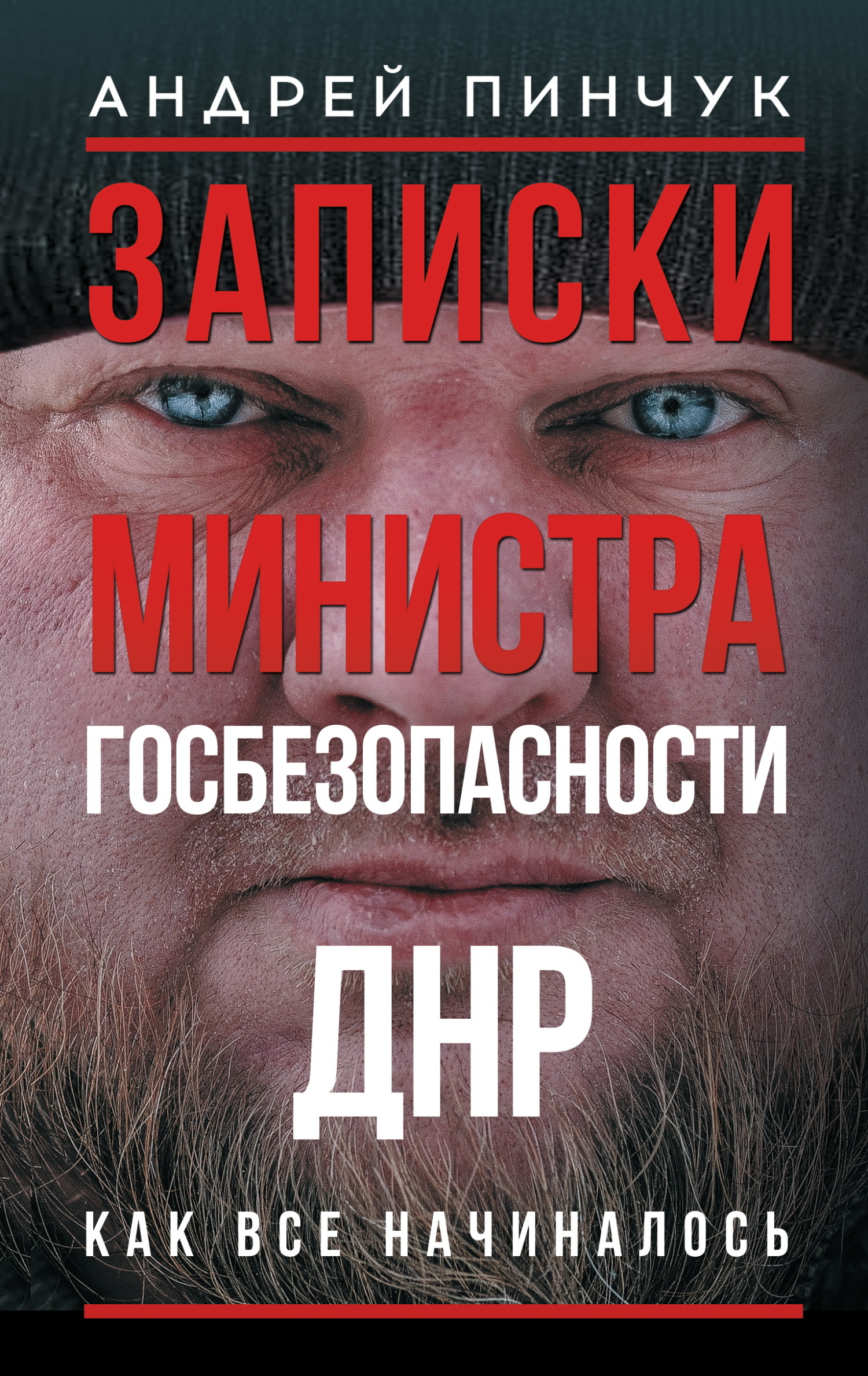 Записки министра госбезопастности. ДНР, как все начиналось - Андрей Юрьевич Пинчук