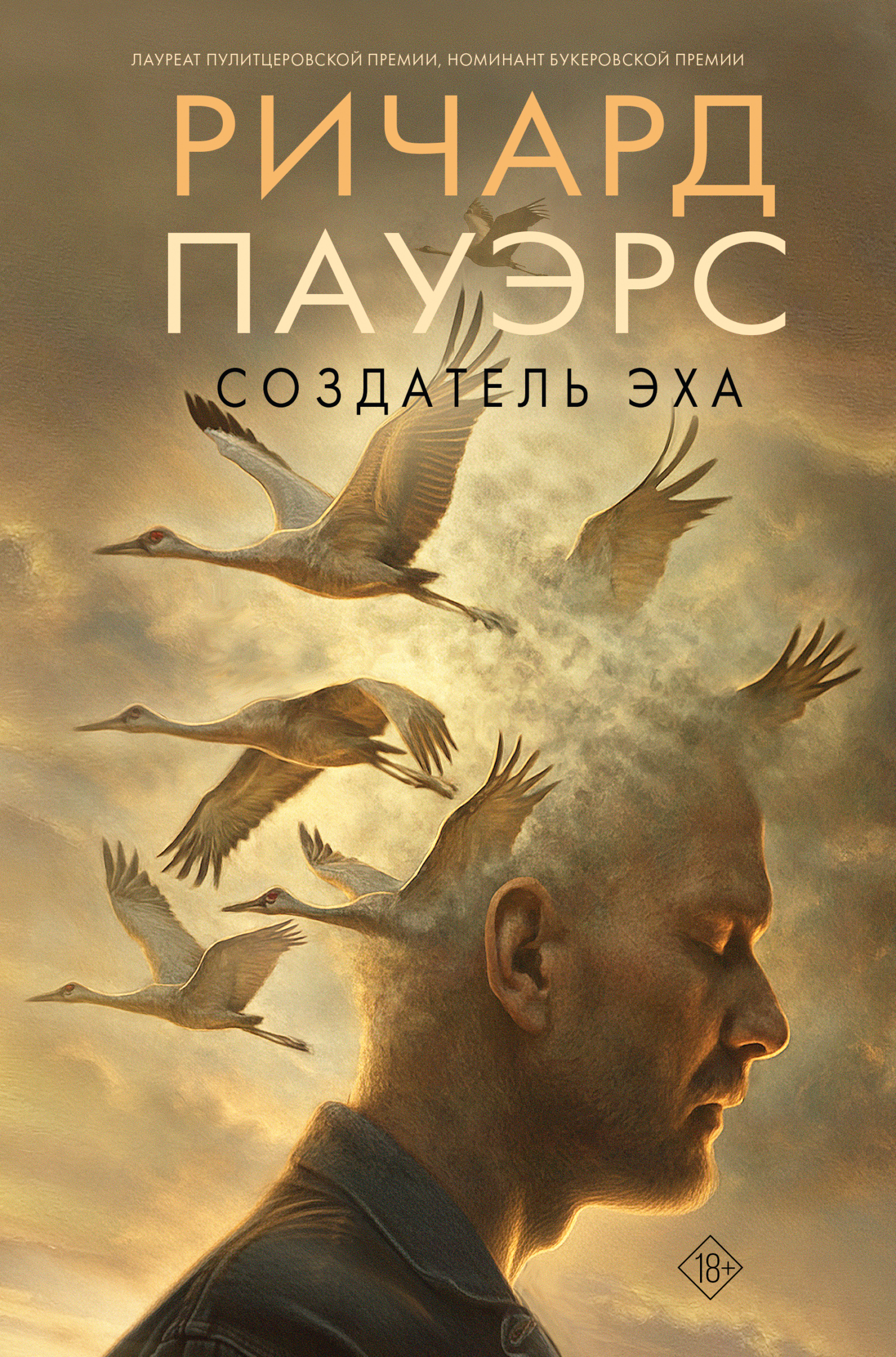 Создатель эха - Ричард Пауэрс