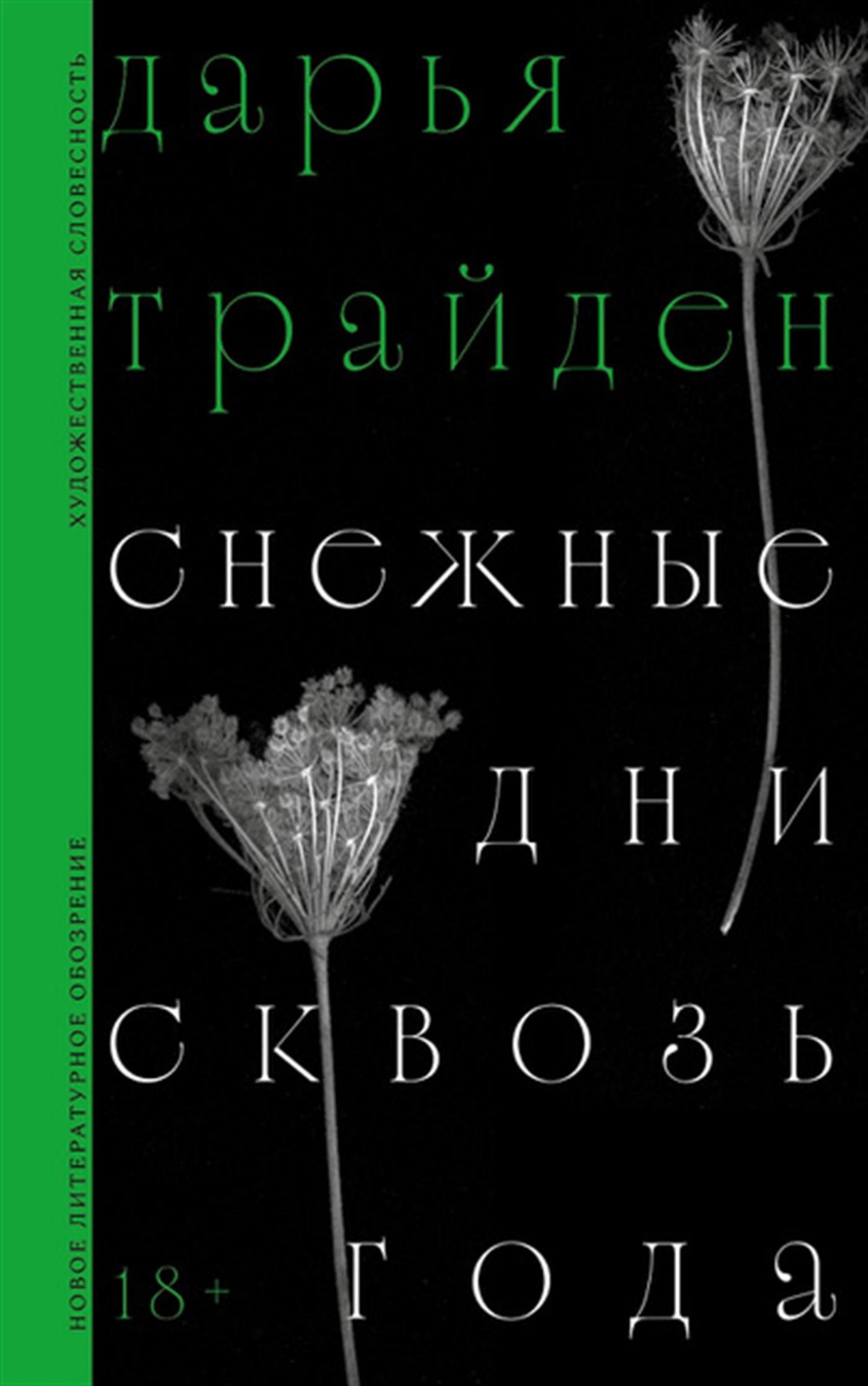Снежные дни сквозь года - Дарья Михайловна Трайден
