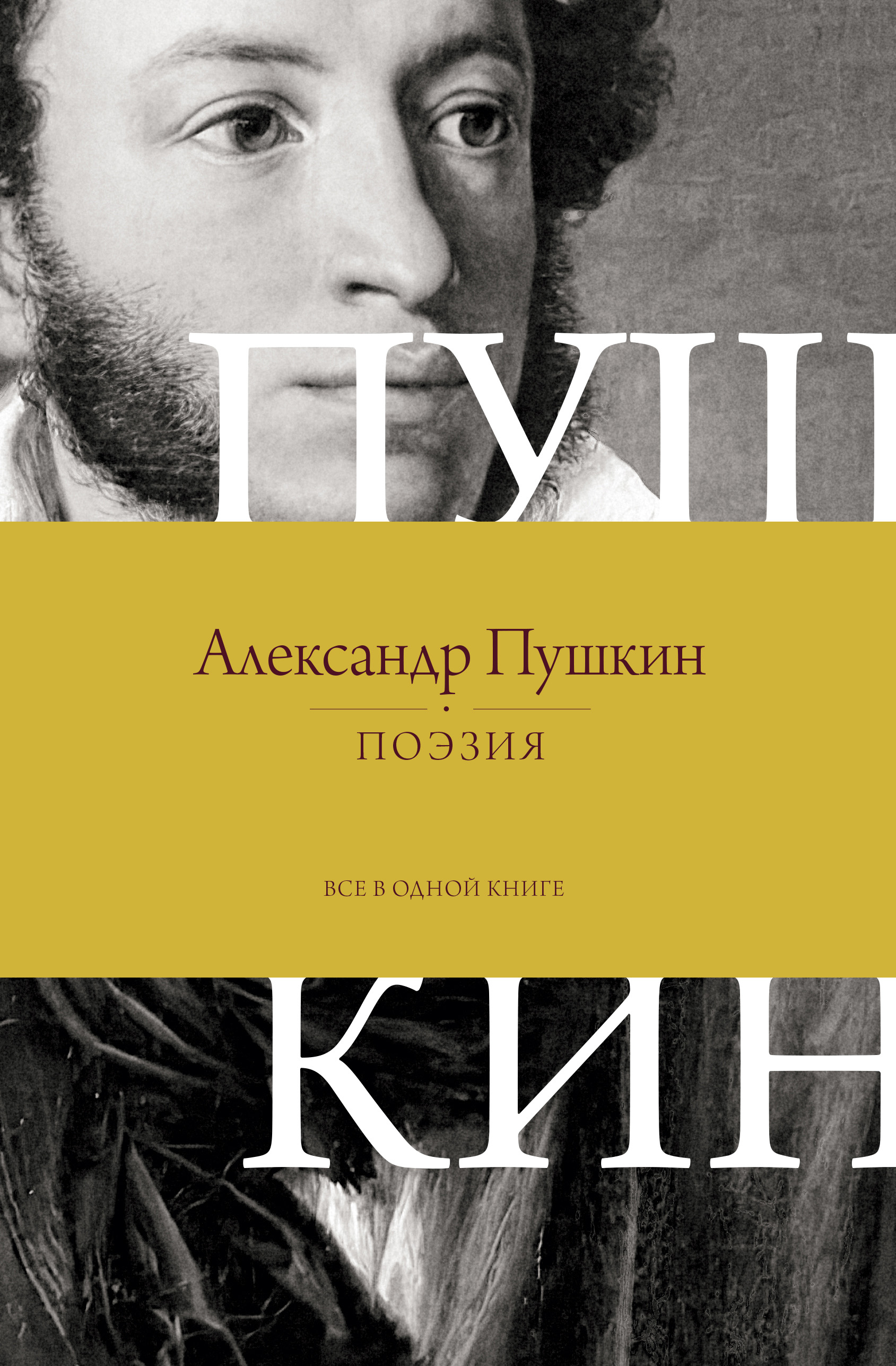 Поэзия. Все в одной книге - Александр Сергеевич Пушкин