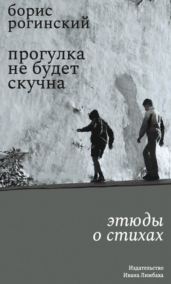 Прогулка не будет скучна - Борис Рогинский
