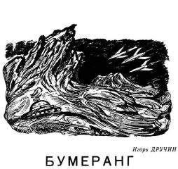 Игорь Дручин - Бумеранг